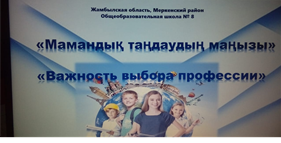 «Важность выбора профессии»